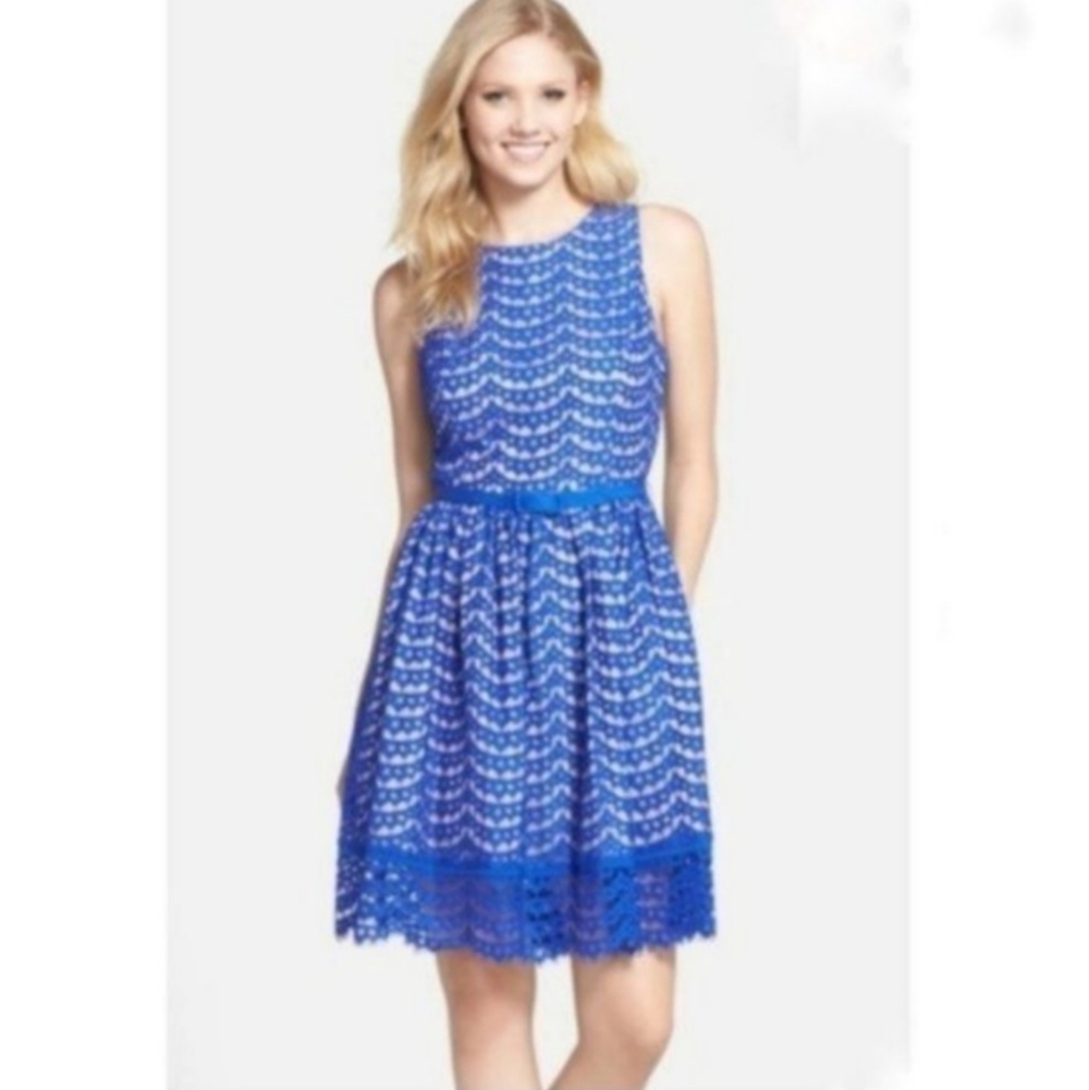 Eliza J Blue Lace Cobolt Blue Fit Flare Dress 14 - Picture 2 of 14